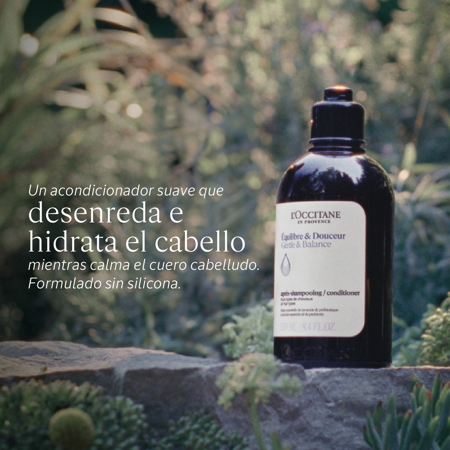 Compra Productos L'Occitane en Guatemala - Belleza Natural y Auténtica Online
