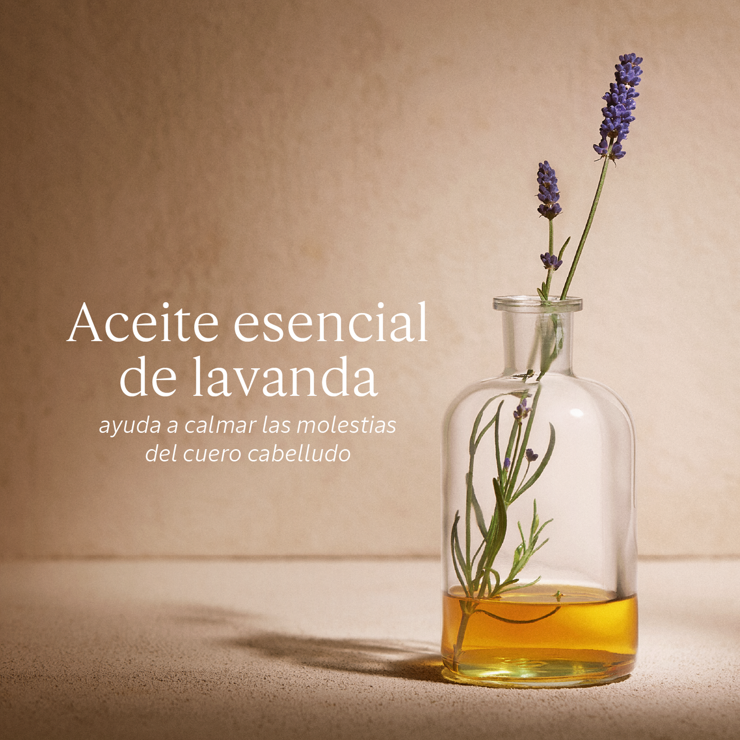 Compra Productos L'Occitane en Guatemala - Belleza Natural y Auténtica Online