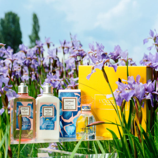 Compra Productos L'Occitane en Guatemala - Belleza Natural y Auténtica Online