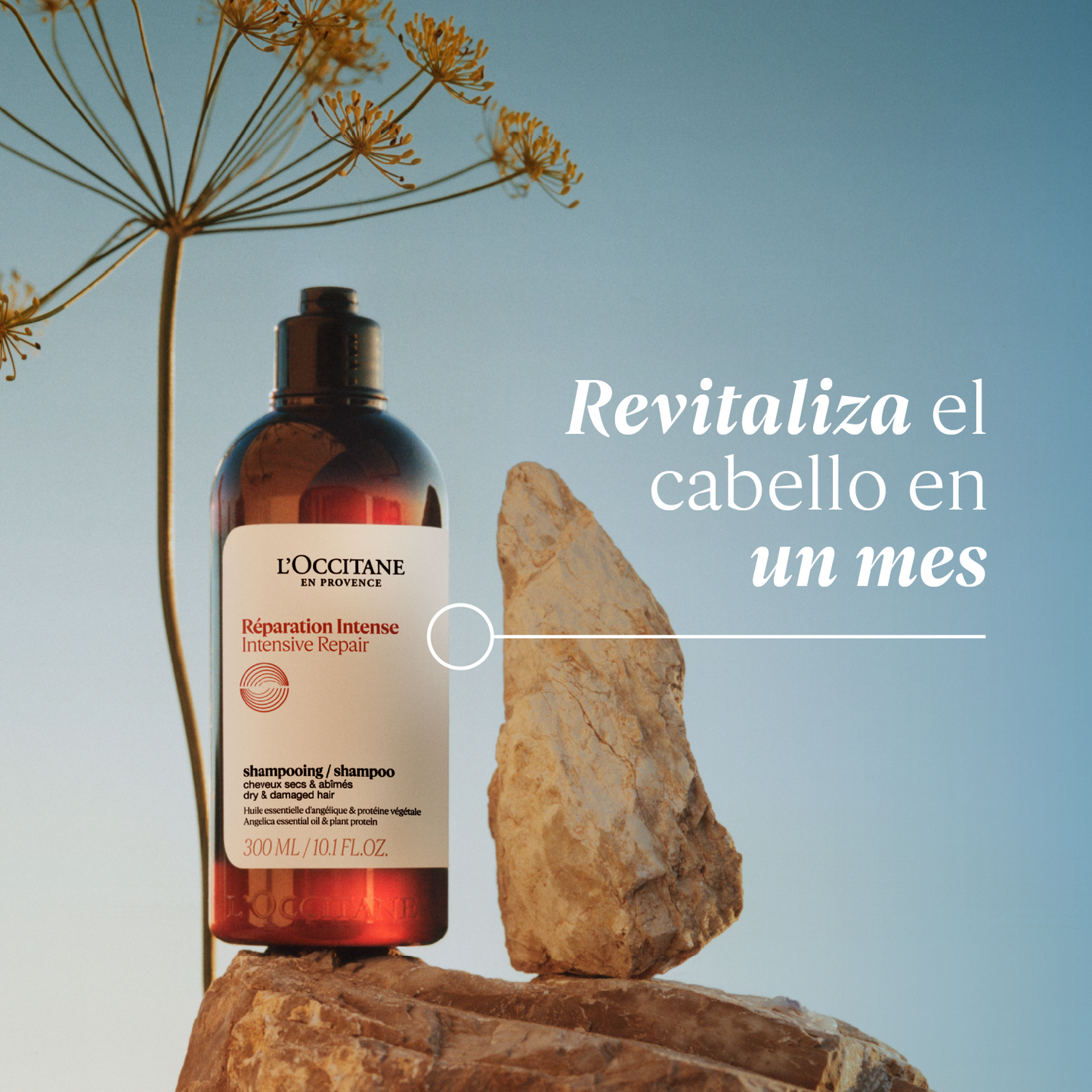 Compra Productos L'Occitane en Guatemala - Belleza Natural y Auténtica Online