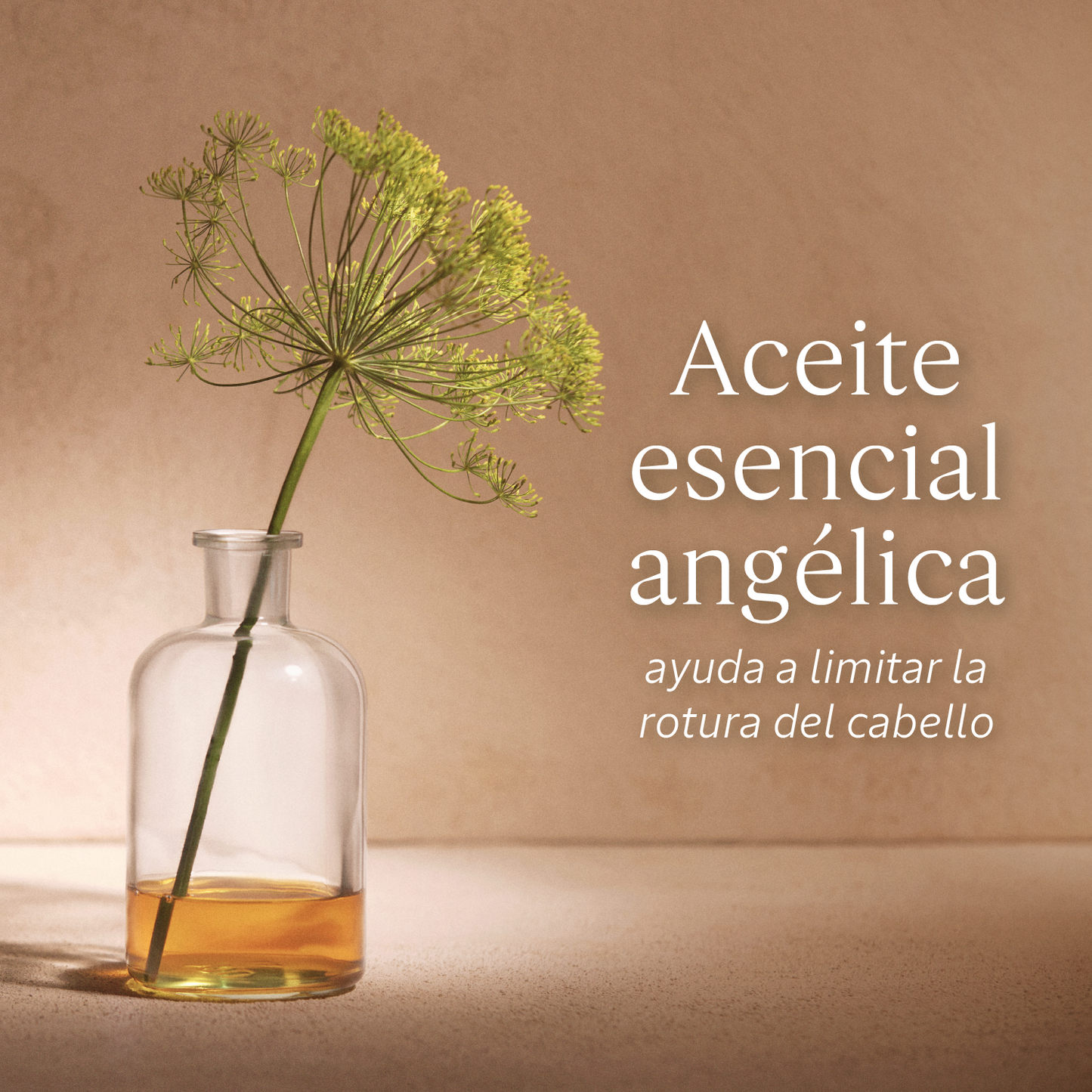 Compra Productos L'Occitane en Guatemala - Belleza Natural y Auténtica Online