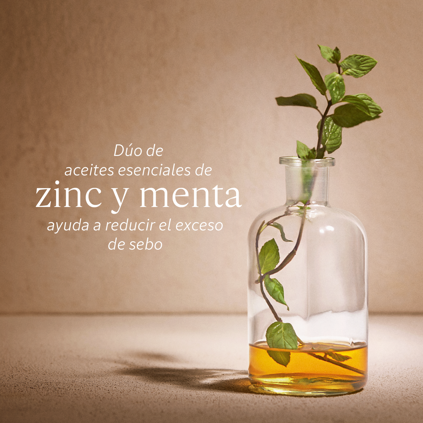 Compra Productos L'Occitane en Guatemala - Belleza Natural y Auténtica Online