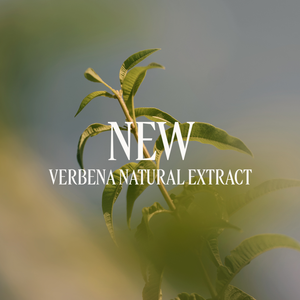 Verveine perfumed shower gel