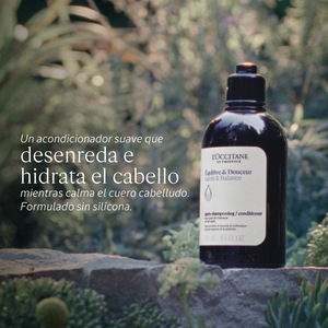 Compra Productos L'Occitane en Guatemala - Belleza Natural y Auténtica Online