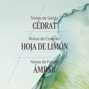 Eau de toilette Cédrat