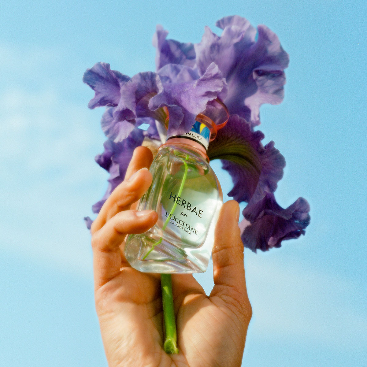 Perfume Herbae Iris Eau de Toilette 50ml