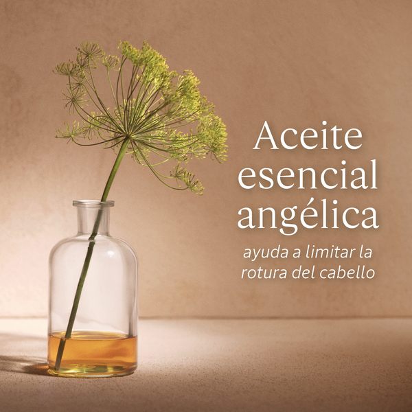 Compra Productos L'Occitane en Guatemala - Belleza Natural y Auténtica Online