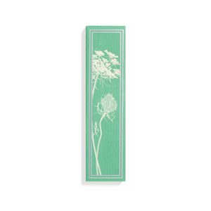 VB CARROT FLOWER EDT 100ML