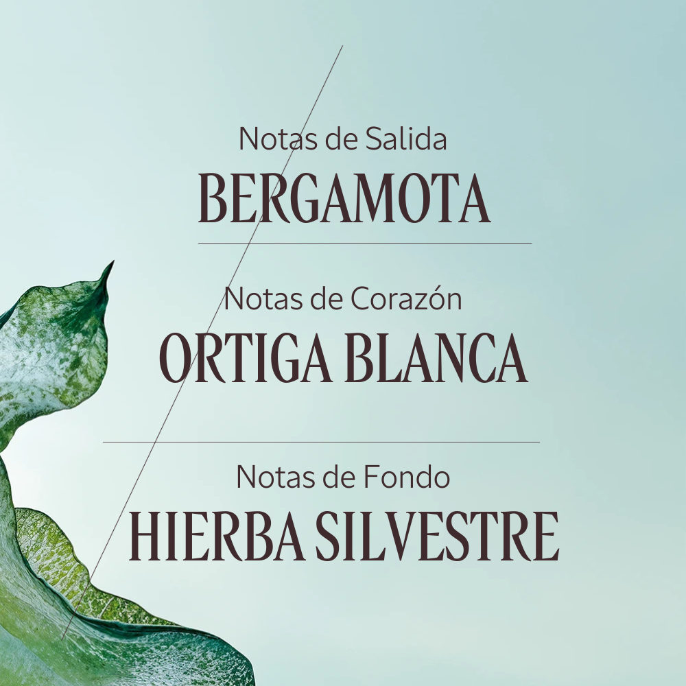 Eau de Parfum Ortie Blanche (Herbae)