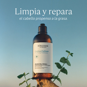 Compra Productos L'Occitane en Guatemala - Belleza Natural y Auténtica Online