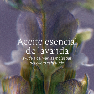 Compra Productos L'Occitane en Guatemala - Belleza Natural y Auténtica Online