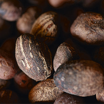 Featured Ingredient - L'Occitane