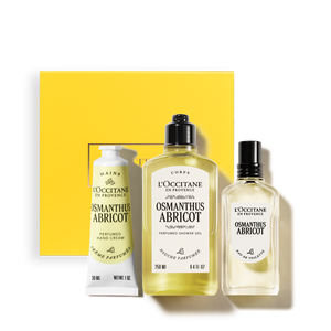 OSMANTHUS ABRICOT  KIT