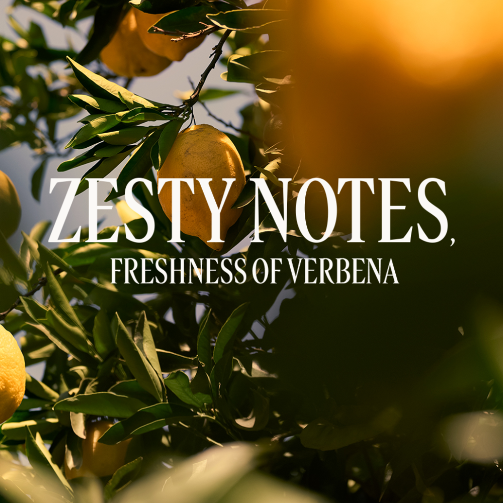 Eau de Toilette Verveine Agrumes