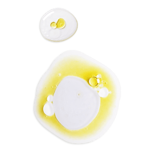 Compra Productos L'Occitane en Guatemala - Belleza Natural y Auténtica Online