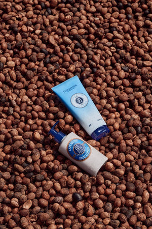 Compra Productos L'Occitane en Guatemala - Belleza Natural y Auténtica Online